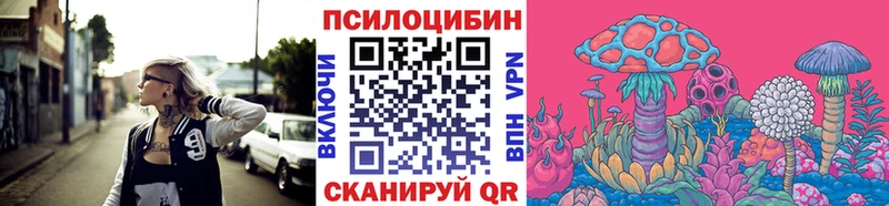 Псилоцибиновые грибы GOLDEN TEACHER  наркотики  Качканар 